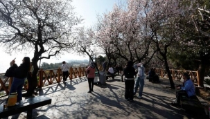 Meteoroloji açıkladı! Yağış yok, sıcaklıklar artıyor