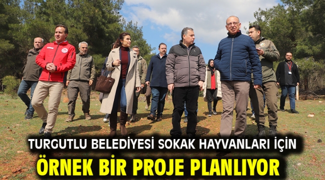 Turgutlu Belediyesi Sokak Hayvanları İçin Örnek Bir Proje Planlıyor