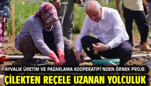 Ayvalık Üretim ve Pazarlama Kooperatifi'nden Örnek Proje: Çilekten Reçele Uzanan Yolculuk