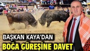 Başkan Kaya'dan boğa güreşine davet