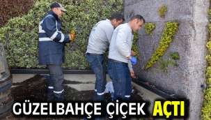 Güzelbahçe Çiçek Açtı