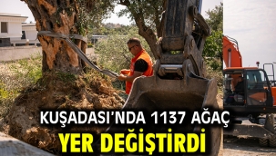 Kuşadası'nda 1137 Ağaç Yer Değiştirdi