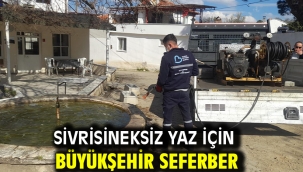 Sivrisineksiz yaz için Büyükşehir seferber 