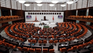 TBMM'de zirai don önergesi kabul edildi