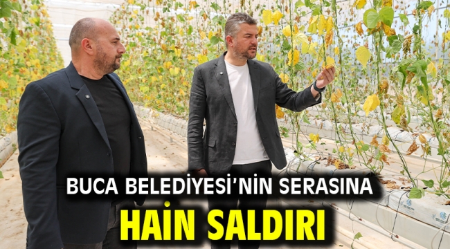 Buca Belediyesi'nin serasına hain saldırı