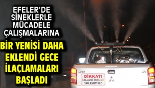 Efeler'de Sineklerle Mücadele Çalışmalarına Bir Yenisi Daha Eklendi Gece İlaçlamaları Başladı