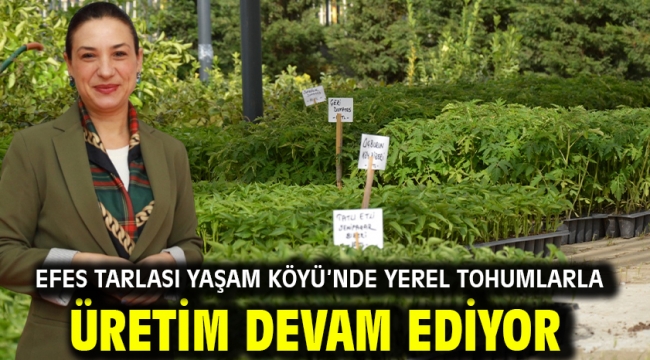 Efes Tarlası Yaşam Köyü'nde Yerel Tohumlarla Üretim Devam Ediyor