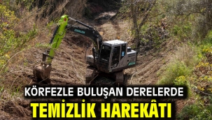 Körfezle buluşan derelerde temizlik harekâtı