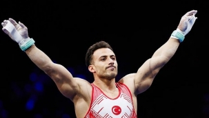 Madalya koleksiyoncusu