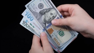 TL, Dolar karşısında değer kaybeden iki para biriminden biri