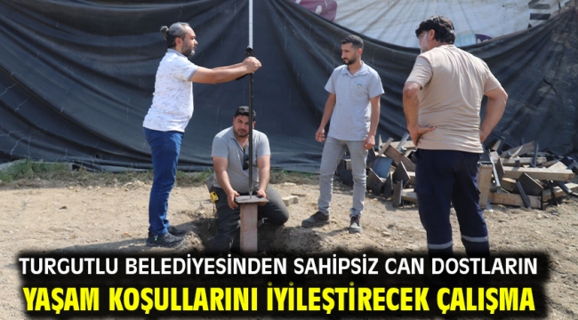 Turgutlu Belediyesinden Sahipsiz Can Dostların Yaşam Koşullarını İyileştirecek Çalışma