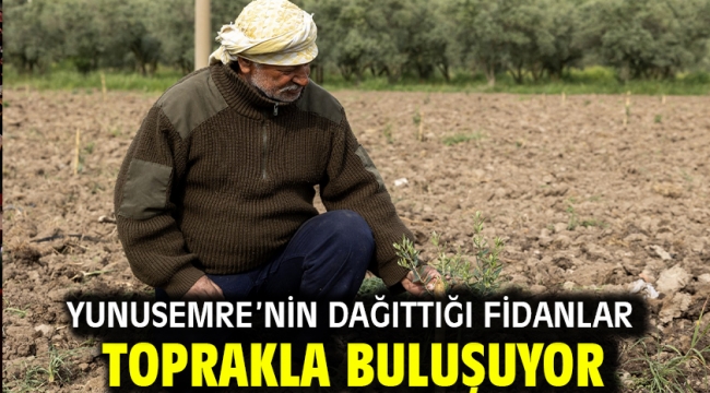 Yunusemre'nin Dağıttığı Fidanlar Toprakla Buluşuyor