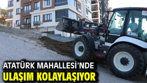 ATATÜRK MAHALLESİ'NDE ULAŞIM KOLAYLAŞIYOR