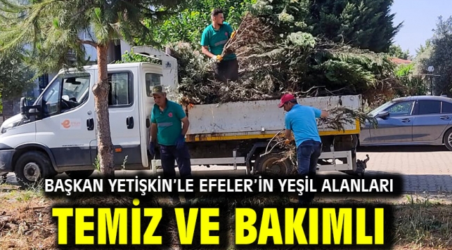 Başkan Yetişkin'le Efeler'in Yeşil Alanları Temiz Ve Bakımlı