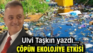 ÇÖPÜN EKOLOJİYE ETKİSİ