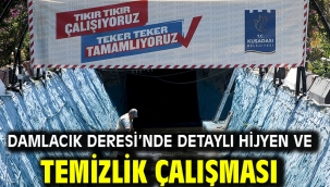 DAMLACIK DERESİ'NDE DETAYLI HİJYEN VE TEMİZLİK ÇALIŞMASI