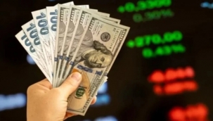 Dolar/TL güne sert yükselişle başladı 