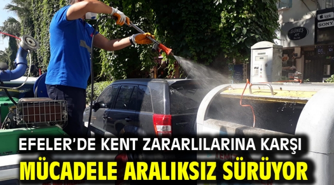 Efeler'de Kent Zararlılarına Karşı Mücadele Aralıksız Sürüyor