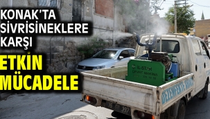 Konak'ta sivrisineklere karşı etkin mücadele