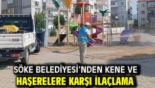 Söke Belediyesi'nden kene ve haşerelere karşı ilaçlama 