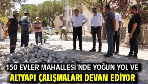 150 Evler Mahallesi'nde Yoğun Yol ve Altyapı Çalışmaları Devam Ediyor