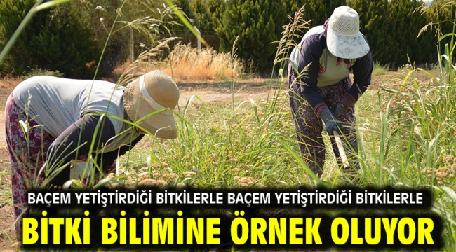 BAÇEM yetiştirdiği bitkilerle bitki bilimine örnek oluyor