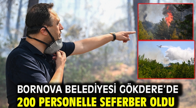 Bornova Belediyesi Gökdere'de 200 personelle seferber oldu