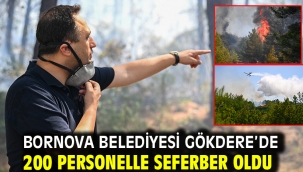 Bornova Belediyesi Gökdere'de 200 personelle seferber oldu
