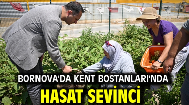 Bornova'da Kent Bostanları'nda hasat sevinci