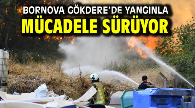 Bornova Gökdere'de yangınla mücadele sürüyor