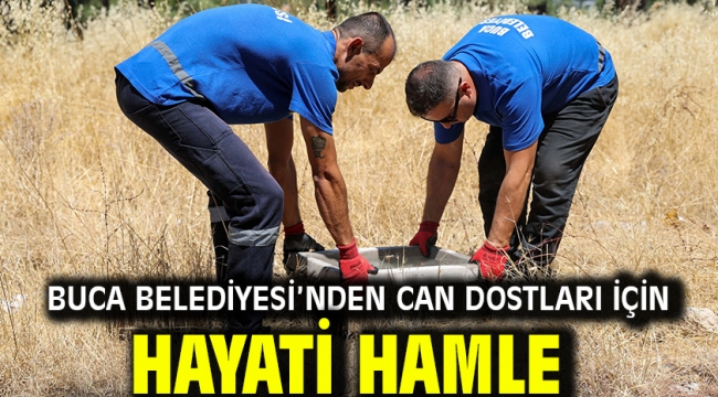 Buca Belediyesi'nden can dostları için hayati hamle