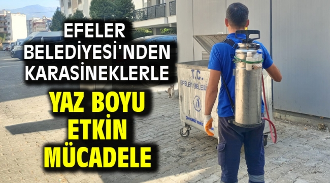 Efeler Belediyesi'nden Karasineklerle Yaz Boyu Etkin Mücadele