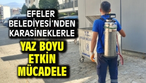 Efeler Belediyesi'nden Karasineklerle Yaz Boyu Etkin Mücadele