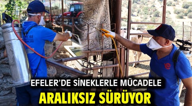 Efeler'de Sineklerle Mücadele Aralıksız Sürüyor