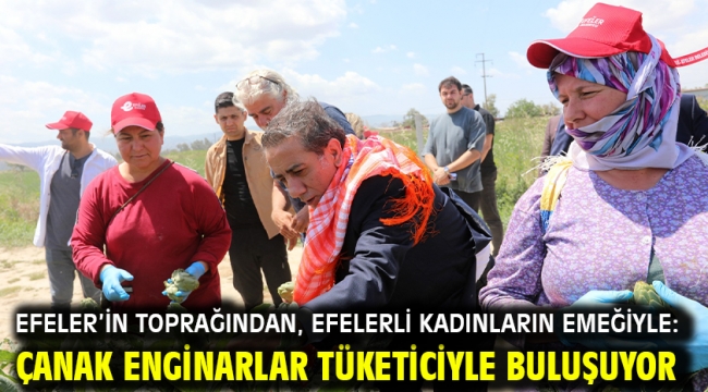 Efeler'in Toprağından, Efelerli Kadınların Emeğiyle: Çanak Enginarlar Tüketiciyle Buluşuyor