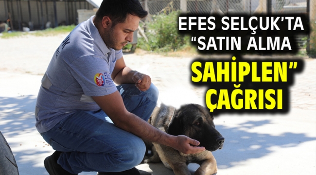 Efes Selçuk'ta "Satın Alma Sahiplen" Çağrısı