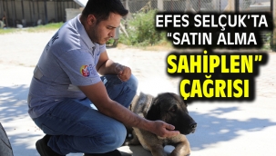 Efes Selçuk'ta "Satın Alma Sahiplen" Çağrısı