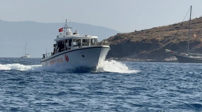Hasan Cemal'in tedavisi için yeni karar