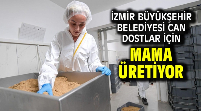 İzmir Büyükşehir Belediyesi can dostlar için mama üretiyor