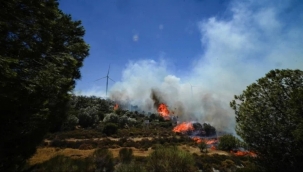 OGM tel tel dökülüyor