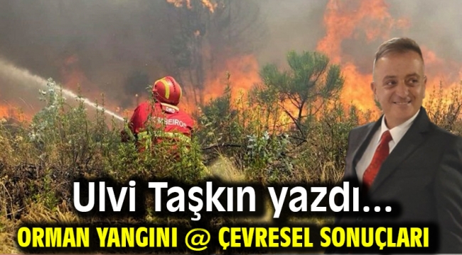 Orman yangını @ çevresel sonuçları