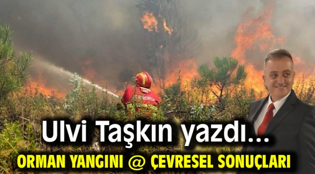 Orman yangını @ çevresel sonuçları