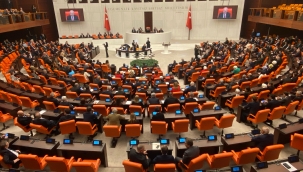 TBMM zeytinlikleri ranta açtı