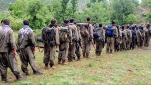 Terör örgütü PKK dakikalar içinde silah bırakıyor