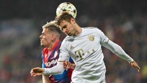 Aslan'da yeni rota Stanisic