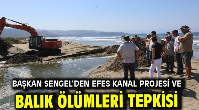 Başkan Sengel'den Efes Kanal Projesi ve Balık Ölümleri Tepkisi