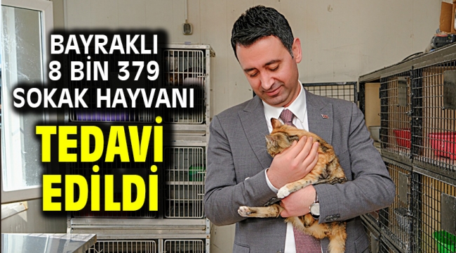 Bayraklı 8 bin 379 sokak hayvanı tedavi edildi