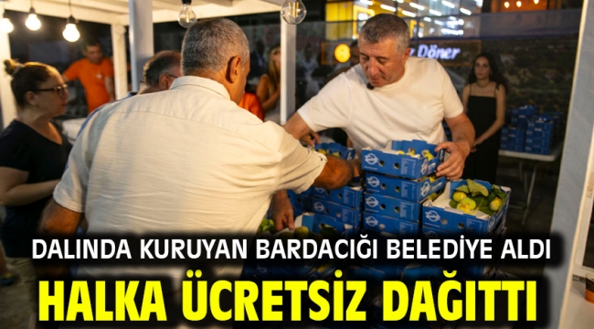 Dalında Kuruyan Bardacığı Belediye Aldı Halka Ücretsiz Dağıttı