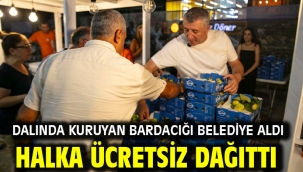 Dalında Kuruyan Bardacığı Belediye Aldı Halka Ücretsiz Dağıttı