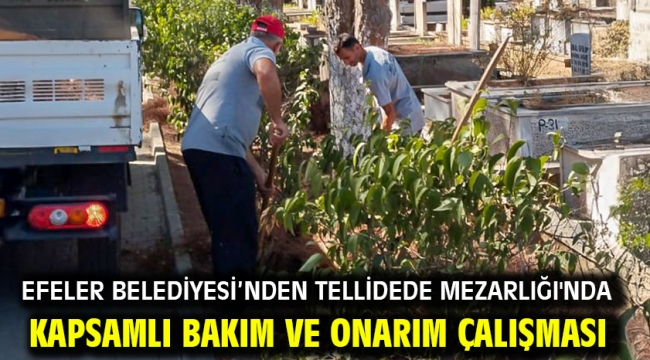 Efeler Belediyesi'nden Tellidede Mezarlığı'nda Kapsamlı Bakım Ve Onarım Çalışması